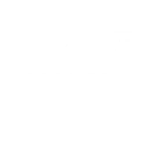 Das Icon zeigt einen stilisierten Einkaufswagen mit Kreis und Häkchen in weiß.
