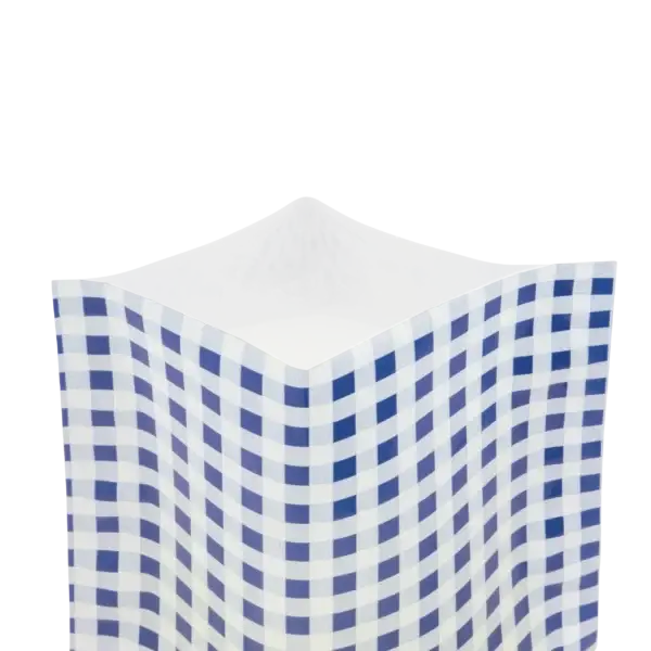 Auf dem Bild sieht man den Anschnitt eines glatten Vakuumbeutels mit blauem Karomotiv.